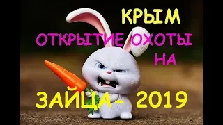 КРЫМ. ОТКРЫТИЕ ЗАЙЦА-2019