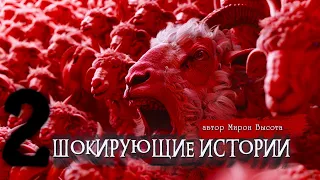 2 ШОКИРУЮЩИЕ ИСТОРИИ | Страшные истории | Ужасы | Мистика | Мирон Высота