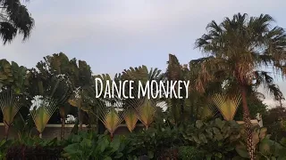 DANCE MONKEY - TONES AND I | Natya Shina's Choreography | Dance Cover by Mevitadc