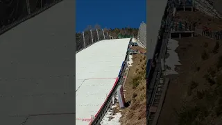 Timi Zajc 229m Planica 2022