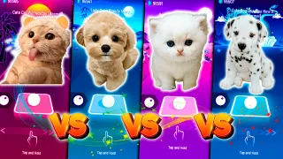 CUTE CAT VS CUTE DOG LADY GAGA & CUTE CAT FRIENDS & CUTE DOG DUA LIPA NEW RULES & TILES HOP EDM RUSH