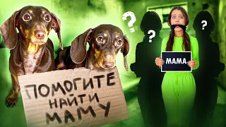 ЧАПИТОСИКИ ИЩУТ СВОЮ НАСТОЯЩУЮ МАМУ | МЫ ЧТО, ПРИЕМНЫЕ??