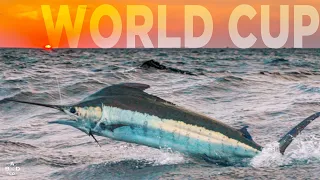 Bad Company fishes The Marlin World Cup in AFRICA!!