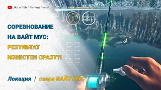 Fishing Planet - Проблемы Командных Соревнований (озеро Вайт Мус)