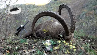 Ibex hunting in Kazakhstan - monster 139cm ibex down!