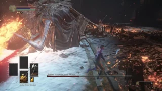 SL1 No rolling/blocking/parrying Sister Friede/Father Ariandel/Blackflame Friede