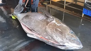 How to fillet 300 kg giant bluefin tuna with Special Knife - Taiwanese street food