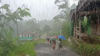 Heavy rain in my village Indonesia | rain sounds for relaxing sleep, calming nature sounds