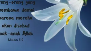 #renungan pagi #saat teduh #Berbahagialah Yang Membawa Damai #Matius 5 : 9