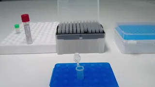 BioTeke fast RT-PCR tests