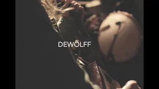 DeWolff - Live at Findspire