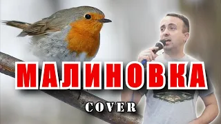 Малиновка - Верасы (cover)