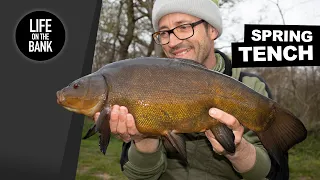 TENCH FISHING TIPS - SPRING