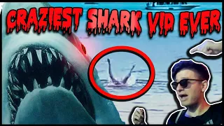 Egypt Shark Attack 2023 | Reaction, Thoughts & Full Video