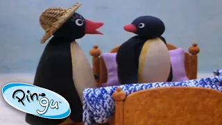 Pingu and Pinga Don't Want to Go to Bed | Pingu Official | 1 Hour | Cartoons for Kids