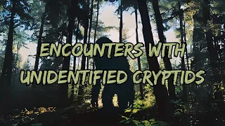 Encounters with Unidentified Cryptids
