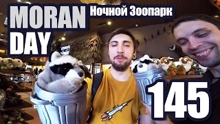 Moran Day 145 - Ночной Зоопарк