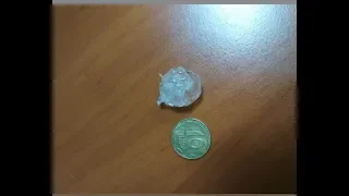 Град и сильный дождь в Харькове 24.05.2019 г./Hail and heavy rain in Kharkiv 24.05.2019