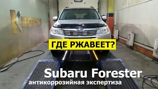 Где ржавеет Subaru Forester?  Антикоррозийная экспертиза Krown