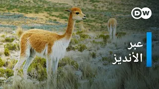 وثائقي | أطول خط حافلات في العالم - من المحيط إلى المحيط (5/5) | وثائقية دي دبليو