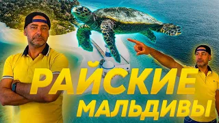 РАЙСКИЕ МАЛЬДИВЫ ! Путешествие в ЧУДО / Kuredu Island Maldives