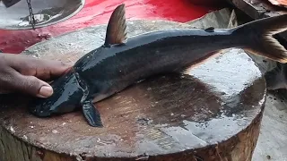Incredible Giant Pangas Fish Cutting Live In Fish Market | Fish Cutting Skills