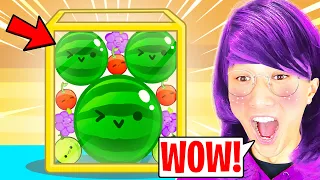 LANKYBOX'S MOM Playing SUIKA GAME!? (WORLD'S HARDEST GAME! *RAGE MOMENTS*)