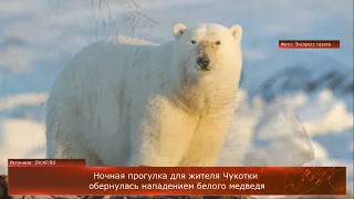 Ночная прогулка для жителя Чукотки обернулась нападением белого медведя
