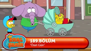 Kral Şakir 189. Bölüm - Özel Gün