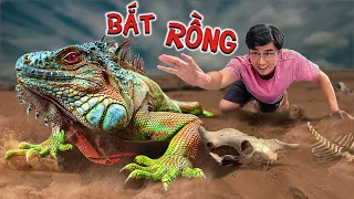 Quang BM | Bắt Rồng Về Làm Thú Cưng 🐲 | Catch a Dragon as a Pet