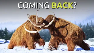 Scientists Will Bring Back Wooly Mammoths by 2027?!