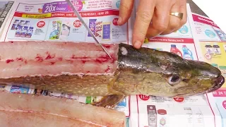 How to Fillet a Pike (and Get 5 Boneless Fillets!)