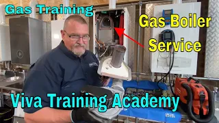Gas Training - How To Service A Gas Boiler - Main Eco Elite Strip Down - Roy Fugler