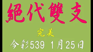 【今彩539神算】1月25日 上期中29 今彩539 絕代雙支