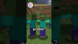 Pomysły, które mogą być w Minecraft ZBROJA DLA ZWIERZĄT #shorts