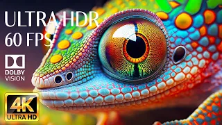 4K HDR 60fps Dolby Vision with Animal Sounds & Calming Music (Colorful Dynamic)