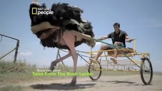 Tales from the Bush Larder Season 3 | Ostrich Riding