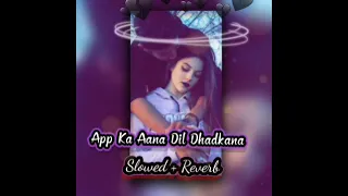 App Ka Aana Dil Dhadkana [ Slowed + Reverb] kumar Sanu | Alka Yagnik