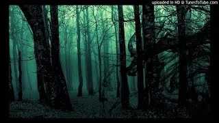 Niukid - Misty Forest (Original Mix)