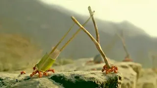 The Ants Have Used Toothpicks to Create Perfect Weapons. Now War With Mankind is Inevitable!