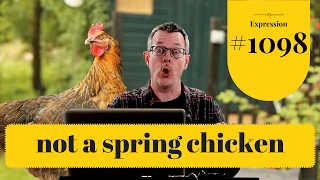Learn English: Daily Easy English 1098: Not a spring chicken