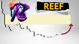 REEF Price Prediction. We still early!