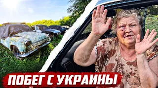 Жизнь украинцев в России. Музей старых авто в деревне! | Орловская обл, Покровский р-он, д.Васютино.