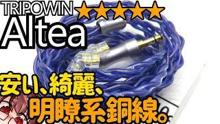 6NOCCでこの価格！見た目も美麗なtripowin altea!