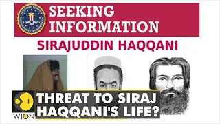 Is the US looking to capture or kill Sirajuddin Haqqani? | Afghanistan | Taliban | Latest World News