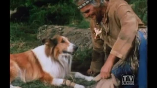 The Holdens Lassie (Season 19 Eps.14  Tell it to the Birds )