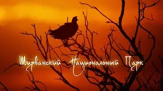 Ширванский национальный парк [English Subs] | Film Studio Aves