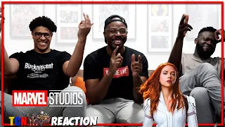 Marvel Studios Celebrates The Movies Reaction