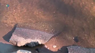 В районе городского водозабора в местечке Сидорполой Сыктывкара обнаружено тело утонувшего