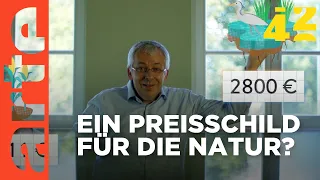 Was, wenn uns die Natur Rechnungen stellt? | 42 - Die Antwort auf fast alles | ARTE